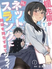 星空天美大象mv物料物料图鉴示例图